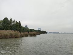 -金鸡湖桃花岛