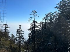 -瓦屋山景区
