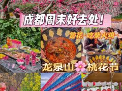 -桃源山庄·水蜜桃采摘·柴火鸡·烧烤团建(龙泉山店)