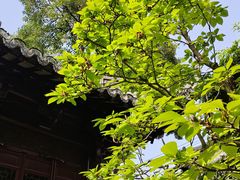 -豫园