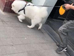 -河滨大楼