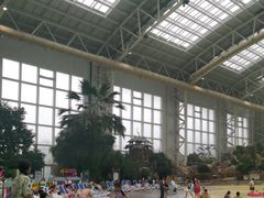 -杭州开元森泊度假乐园