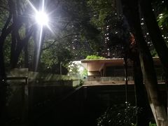 -龙头寺公园