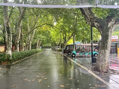 -东湖落雁景区
