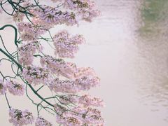 -红星桥(地铁站)