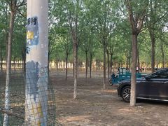 -亲兄弟真人CS团建拓展基地