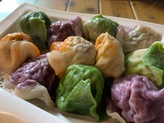 五彩饺子-宝源饺子(麦子店街店)