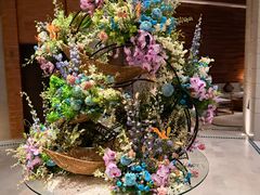 -浅深Cheersum(曹杨店)
