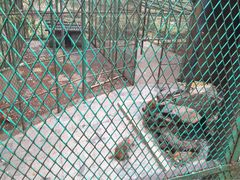 藏龙百瀑-藏龙百瀑风景区