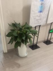 -安徽合肥韩美整形外科医院