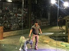 -清迈夜间动物园