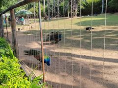 -深圳野生动物园