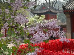 -红螺寺