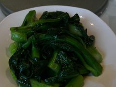 白灼田园菜心-金苑海鲜酒家(来魅力店)