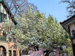 -天津五大道文化旅游区