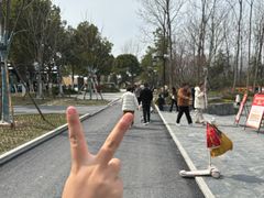 -合肥滨湖国家森林公园