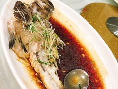 老虎斑-东江海鲜酒家(艺都分店)