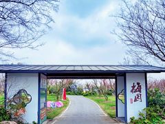 -上海长兴岛郊野公园