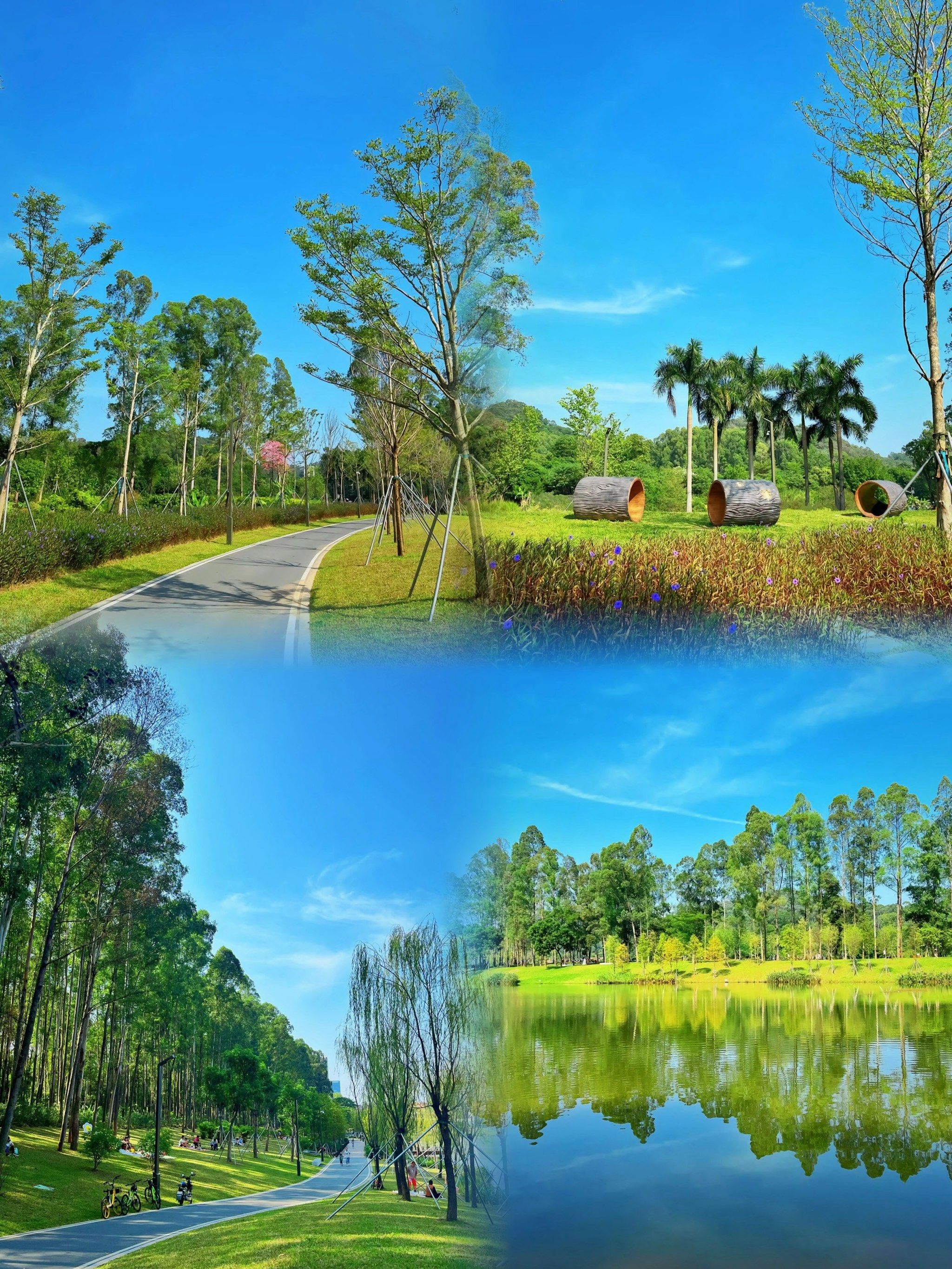 96东莞亲子游必去!免费公园的快乐秘籍