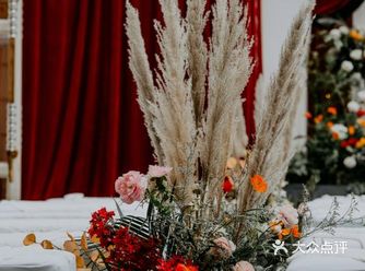 简丽  瓣紅的璀璨 永恒的光芒， 用金色的餘輝