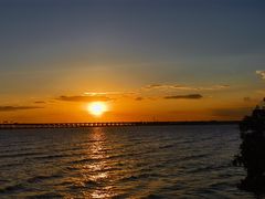 -宝安西湾红树林湿地公园