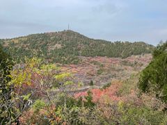 -府君山公园