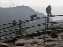 -峨眉山风景名胜区