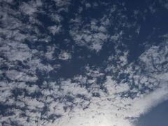 -花岙岛