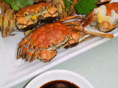 -南庄酒家·海鲜粤菜·25年老字号(环城南路店)