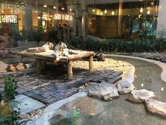 -白虎自助餐厅·真老虎·景观自助餐厅(广州长隆酒店)