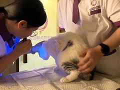 -宠爱国际动物医院·消化内科·心肾内科·ISFM猫友好(望京店)