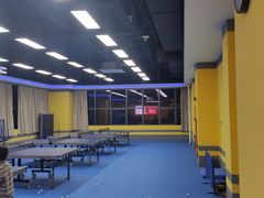 -乐旋乒乓球(广州西湾路店)