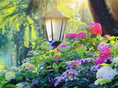 -武汉园博园(武汉自然博物馆)