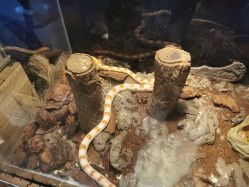 -造物庄园 萌宠纪(苏州湾歌林公园店)