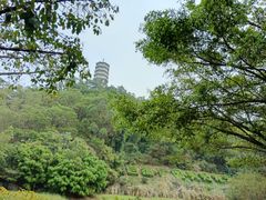 -深圳国际园林花卉博览园