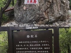 -北京鹫峰国家森林公园