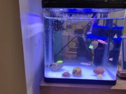 -盖氏丹辰·良咔瘦身·减脂塑形