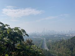 -火炉山森林公园