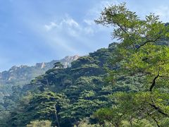 -泰山风景名胜区