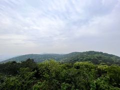 -宝界山林公园