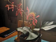 -普洱茶府(博乐广场店)