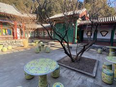 -宫事颐庭·老佛爷贵寿下午茶(颐和园店)