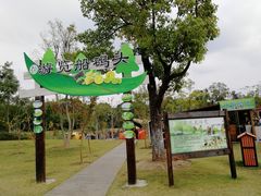 -上海长兴岛郊野公园