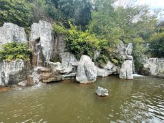 -神光山国家森林公园