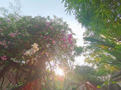 -深圳国际园林花卉博览园