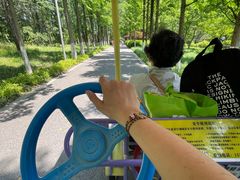 -昆山城市生态森林公园