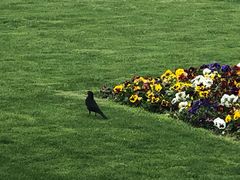 -上海市龙华烈士陵园