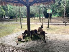 -宁波野生动物园
