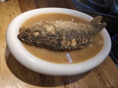 红烧黄河大鲤鱼-阿庄新豫菜(航海东路店)