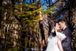 -费拉摄影(天廊T66店)